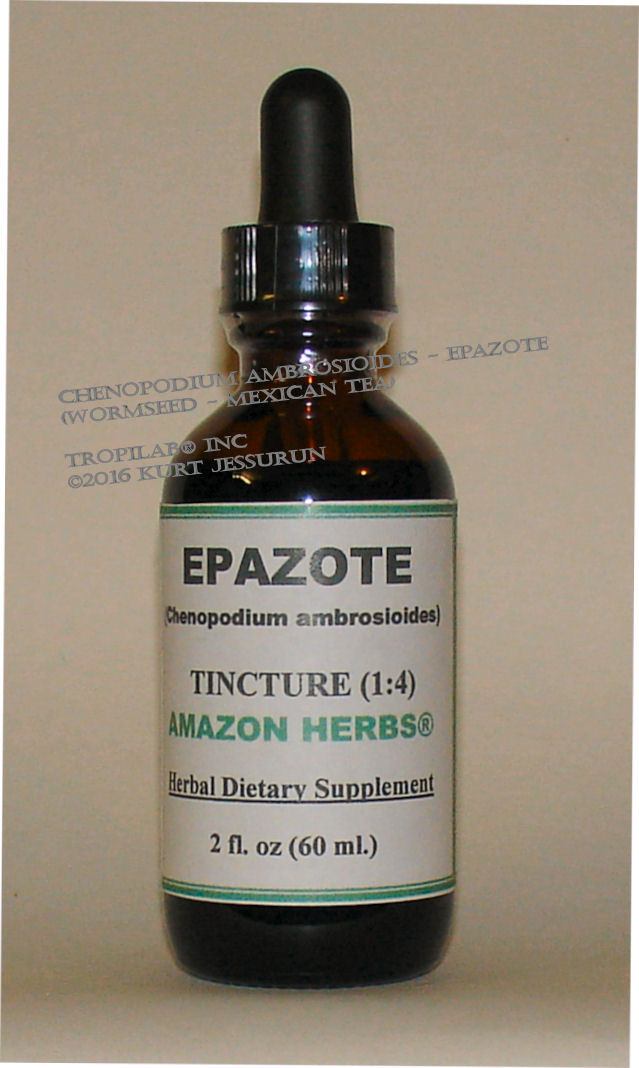 Chenopodium ambrosioides - Epazote tincture